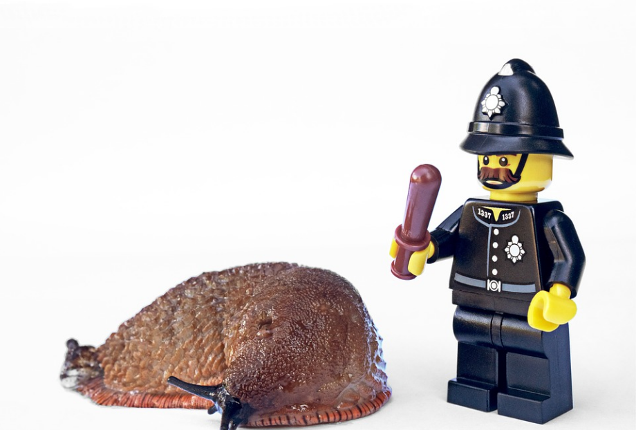 a picture of slug and a miniature of policeman