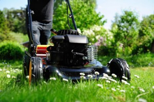 lawn care considerations